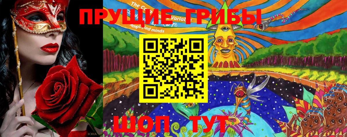 Псилоцибиновые грибы GOLDEN TEACHER  Вход с VPN  Псилоцибиновые грибы ЛСД  Арсеньев 