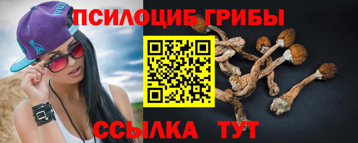 Псилоцибиновые грибы Psilocybe Арсеньев